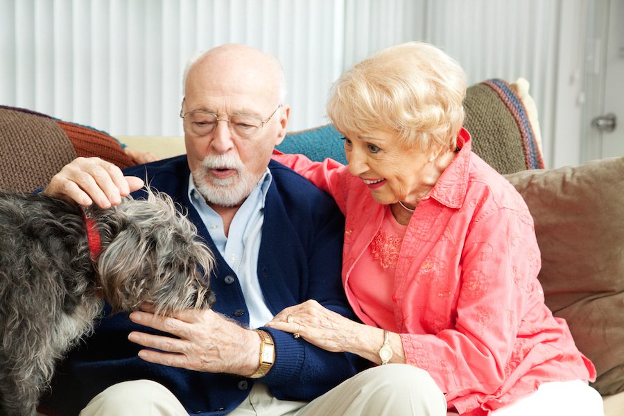 老人ホームを訪れるセラピー犬、AIBOでも同様の効果があると言う研究結果