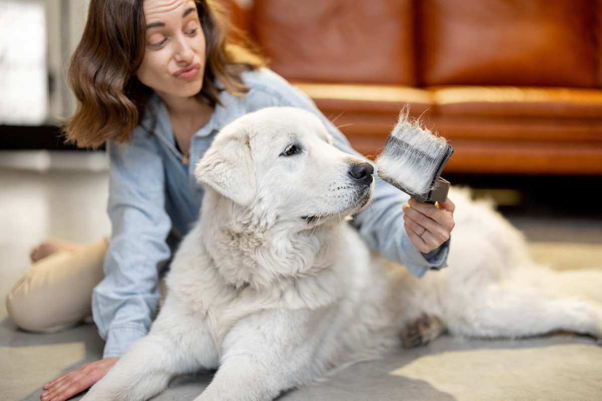 愛犬から体臭がする時にすべき『お手入れ・ケア』４つ！消臭する方法は？
