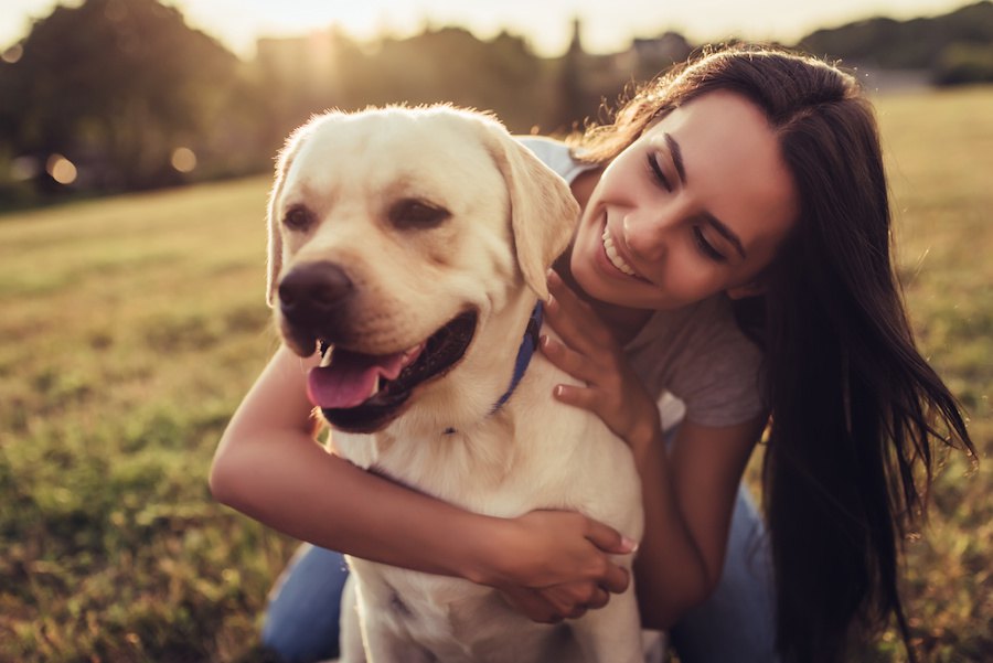 怪我や病気に負けない！愛犬の自然治癒力を高める方法