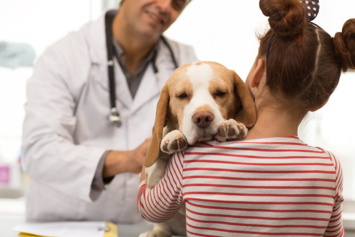 犬から人に病気はうつる！注意すべき5つの『人獣共通感染症』と感染経路とは？
