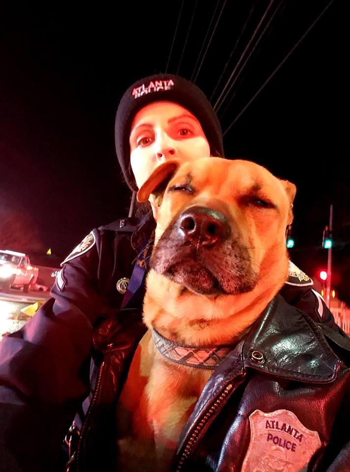 アパート火災で意識不明の犬発見！警官のボディカメラが一部始終を記録！