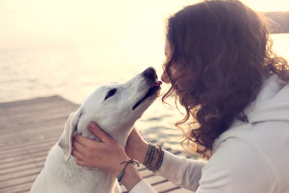 愛犬が「一緒にいて幸せ」だと思える飼い主の４つの心得