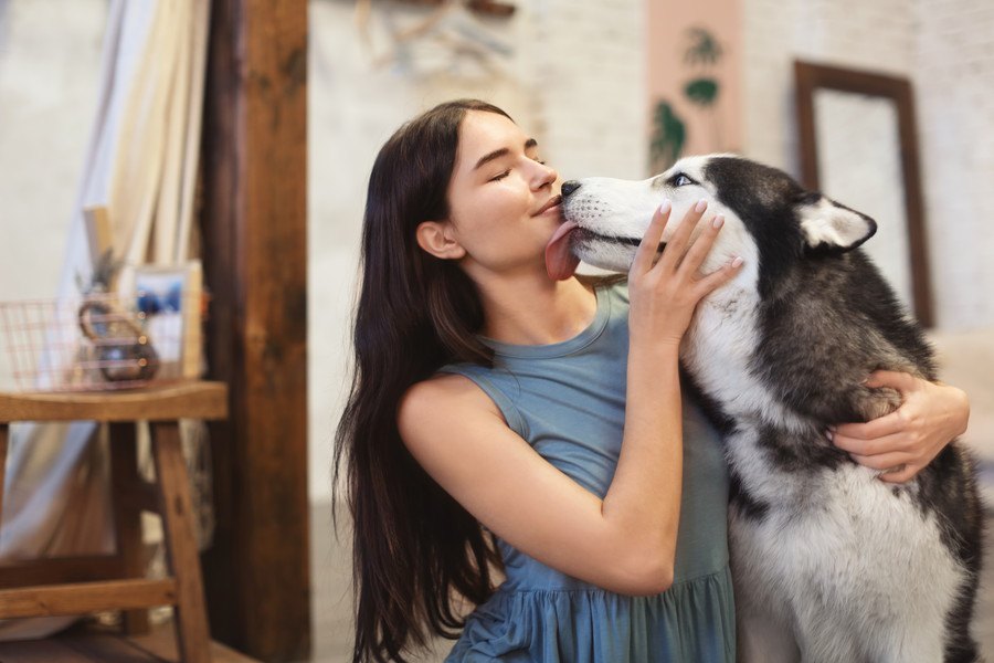 犬が飼い主の顔を舐める意外な理由とは？