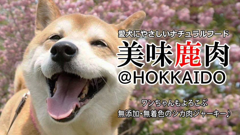 犬にはやさしく美味しいおやつを！北海道の贅沢グルメ「エゾ鹿ジャーキー」