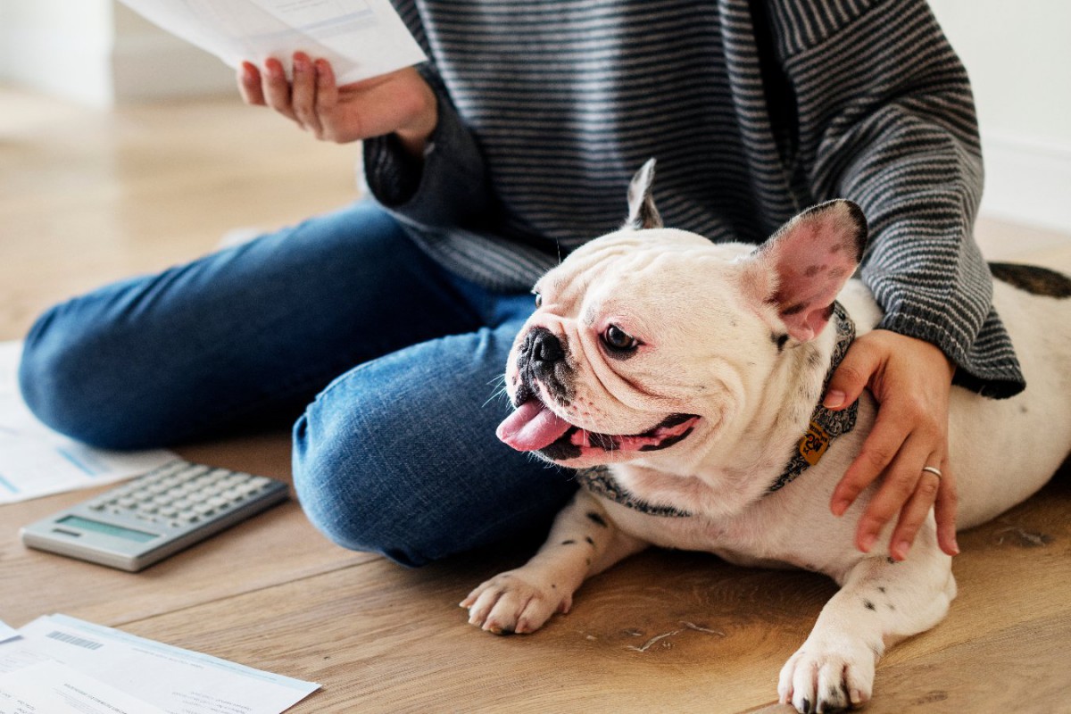 愛犬のためにエアコンをつけっぱなしにすると、電気代はいくらになる？節約する方法はあるの？