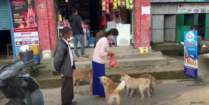 【優しい世界】犬の国ネパール『プジャ』で野良犬たちの祝福を願って…