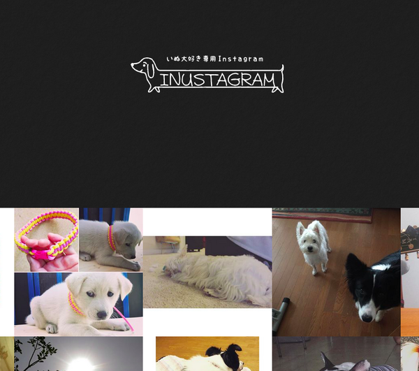 inustagram（イヌスタグラム）は犬好き専用サイト！