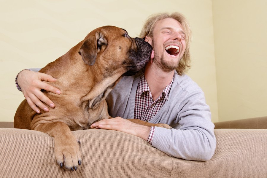 イギリス発、半数以上の飼い主が自分よりも犬の健康を優先という調査結果