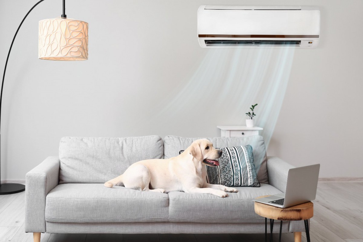犬に絶対NGな『エアコンの使い方』4つ！体調不良や病気を招くタブーと正しい温度管理とは