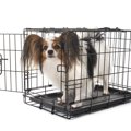 犬のケージの人気商品ランキングTOP4！特徴や選び方