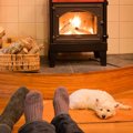 犬が冬にお留守番している時につけてはいけない４つの暖房器具