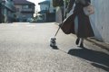 子犬を初めての散歩…の画像