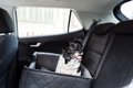 犬を車に乗せるとき…の画像