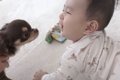 犬と赤ちゃんが仲良…の画像