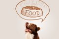 犬の食器スタンドラ…の画像