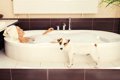 愛犬とお風呂に入る…の画像