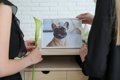 愛犬の葬式、具体的…の画像