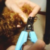 犬の爪切りの手順と…の画像