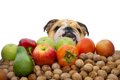 犬が食べていい果物…の画像