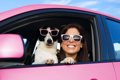 犬用ドライブボック…の画像