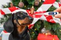 犬とのクリスマスで…の画像