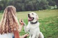 犬が『幸せ』を感じ…の画像