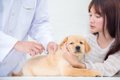 犬はワクチン接種を…の画像