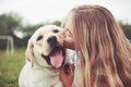 『犬が幸せになる飼…の画像