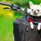 犬用の自転車グッズ