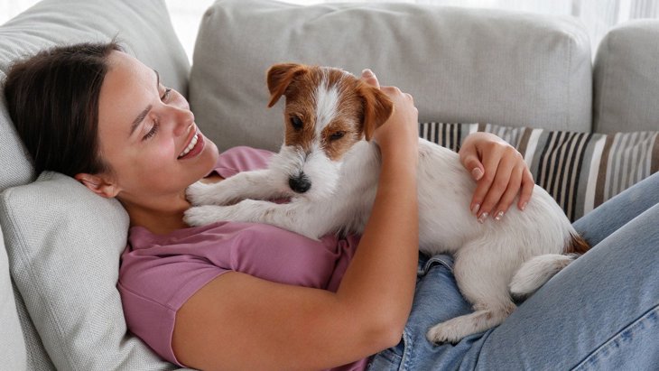 犬が人に対してホリホリする時の心理とは？4つの理由と止めさせたい時の対処法