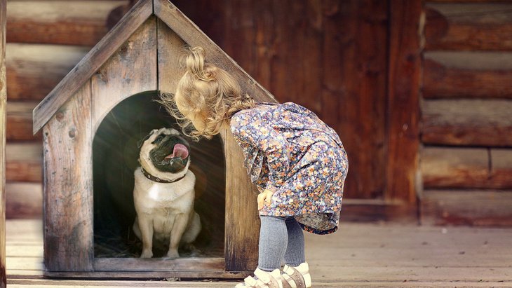 『犬用ハウス』を選ぶポイント6選！愛犬に合ったものってどんなもの？