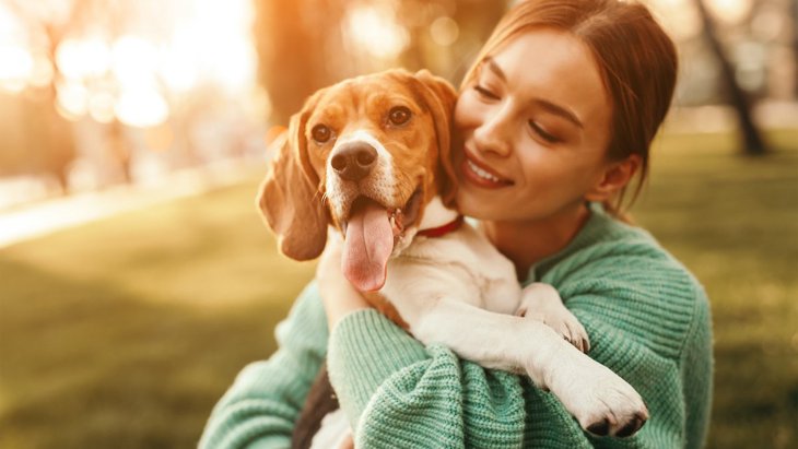 犬は抱っこされている時、何を考えている？４つの心理を解説