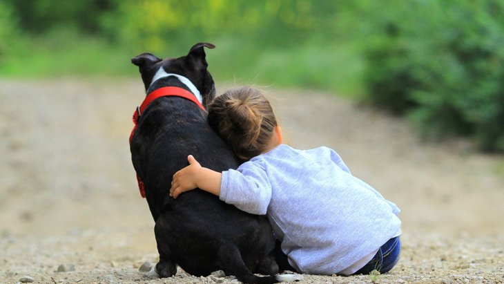 犬の気持ちを考えることは「信頼関係の構築」につながる