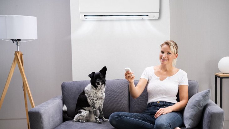 犬にとって最適な『気温』って何度？留守番中はエアコンをつけるべき？