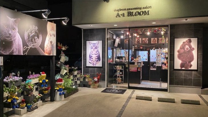 【大阪府】「dog&cat grooming salon A-1BLOOM」｜店舗の特徴・魅力を紹介！