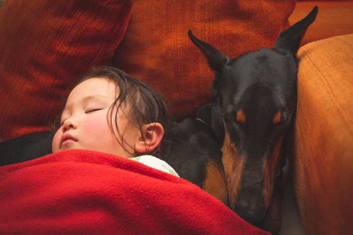 犬と『一緒に寝る』のは悪い事なの？3つの理由とは