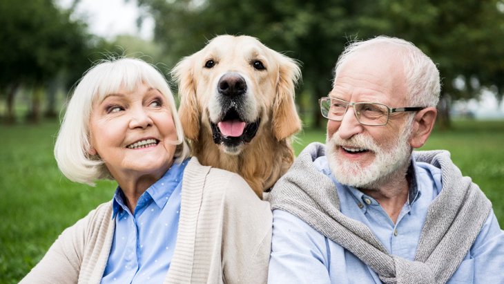 犬の寿命が年々延びている5つの理由！しかし長生きの影響で様々な問題も