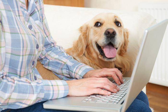 警告！愛犬の名前をパスワードにするとサイバー犯罪被害のリスクがアップ