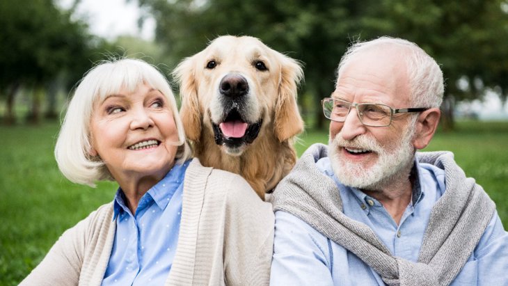 犬を飼ったことがある高齢者は要介護のリスクが低いという研究結果