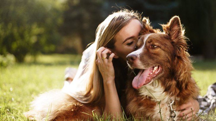 飼い主の性格と犬の攻撃的行動に関連があるという研究結果