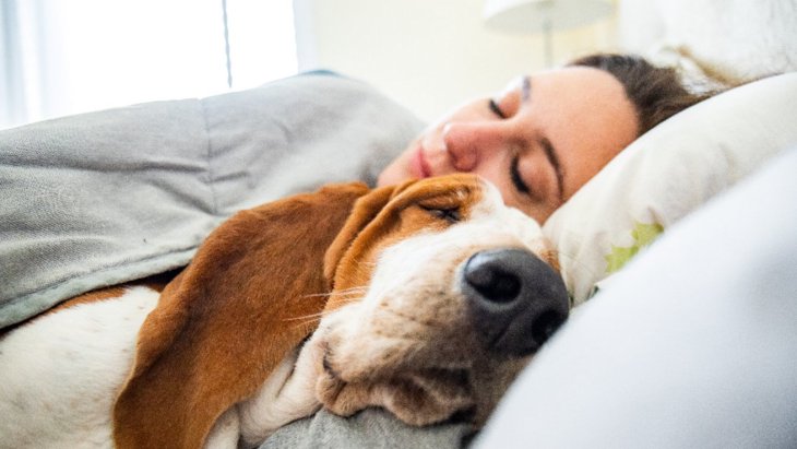 犬が『一緒に寝たい』と感じる人の特徴3つ！選ばれる基準や寝る時の注意点