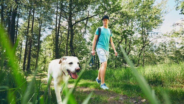 犬の飼い主は年間平均1400km歩いている！〜イギリスのリサーチ結果