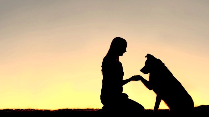 愛犬の最期…飼い主が考えるべき『5つのこと』