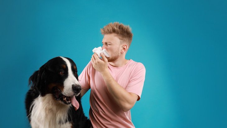『犬アレルギー』の主な症状6選！犬アレルギーの飼い主もいるって本当？