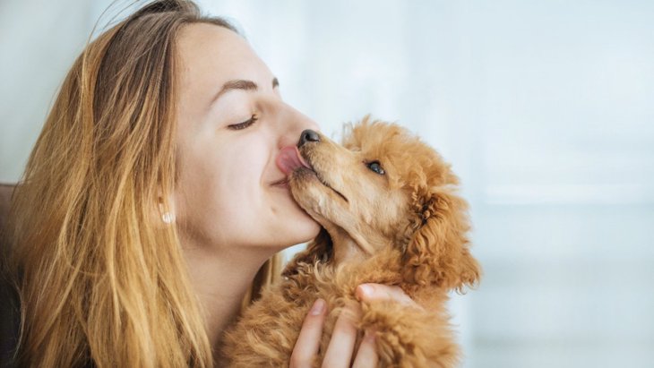 飼い主は匂いで愛犬を識別できるか？というリサーチ結果