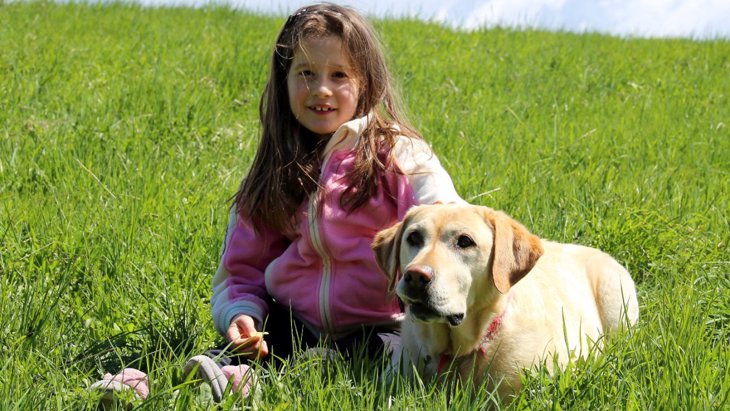 自閉症の児童のための介助犬研究がアメリカでスタート