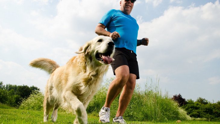 犬の『老化』は防止できる？元気を保つための7つの方法