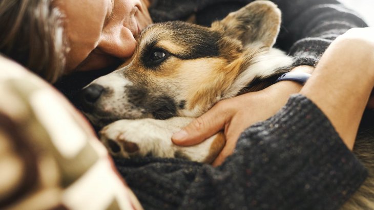 あなたは愛犬に愛されていますか？１０個のチェックでわかる『愛され度診断』