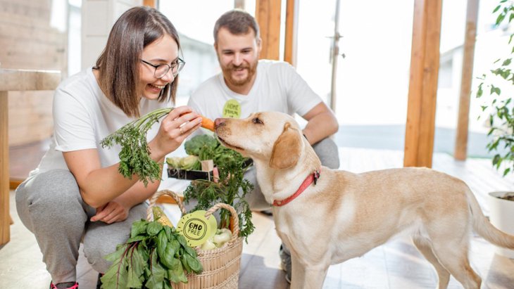 犬に絶対NGな『野菜の食べさせ方』3選！与える食材や量、コツまで解説