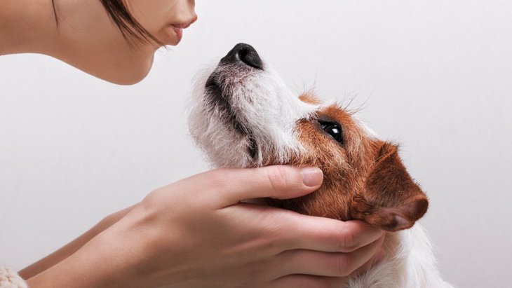 実は犬とのキスは危険？4つのリスク・感染症について解説